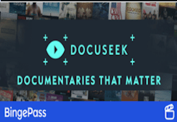 Docuseek Logo